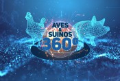 Aves & Suínos 360º - Summit 2022